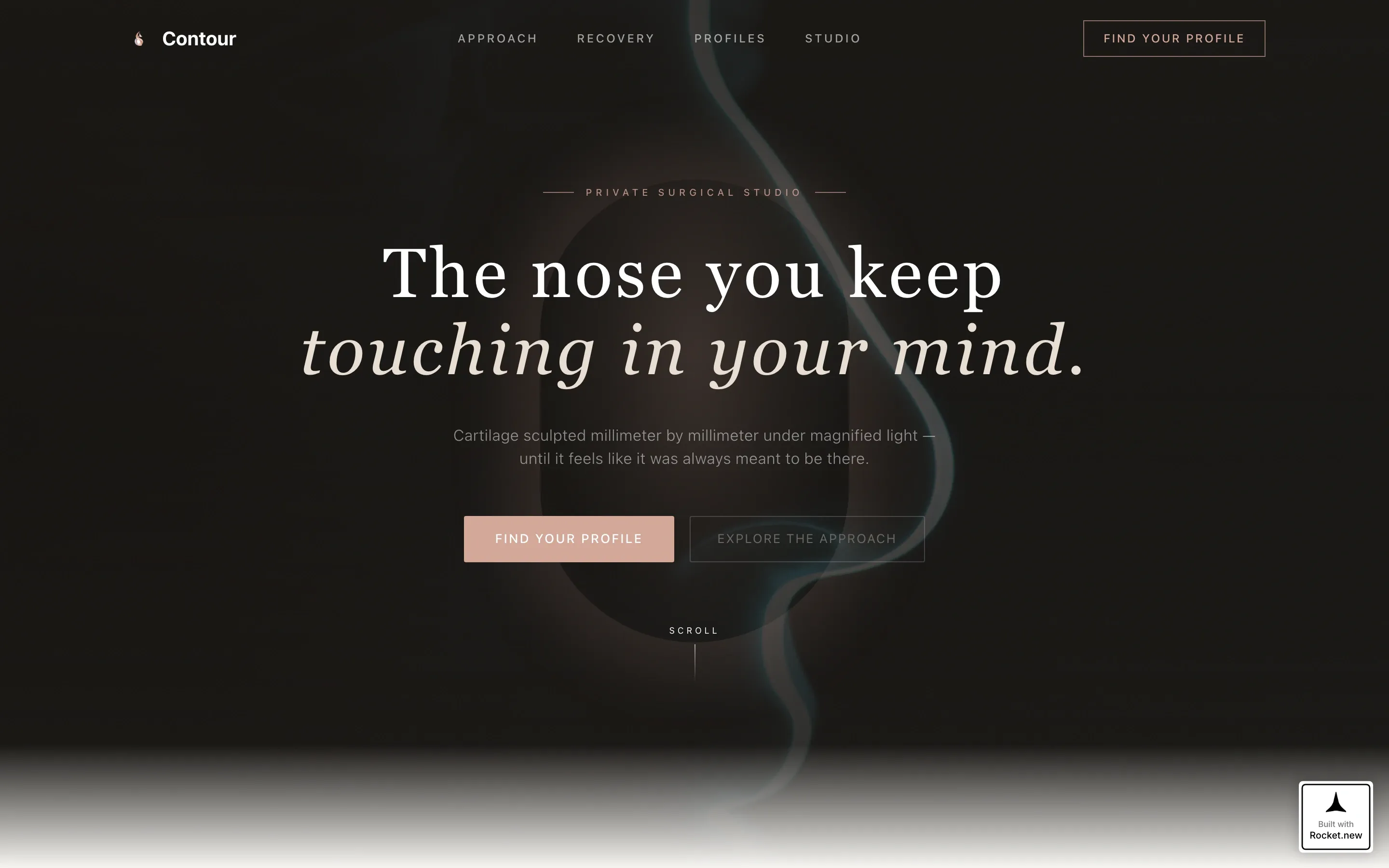 Rhinoplasty Clinic Landing Page Template
