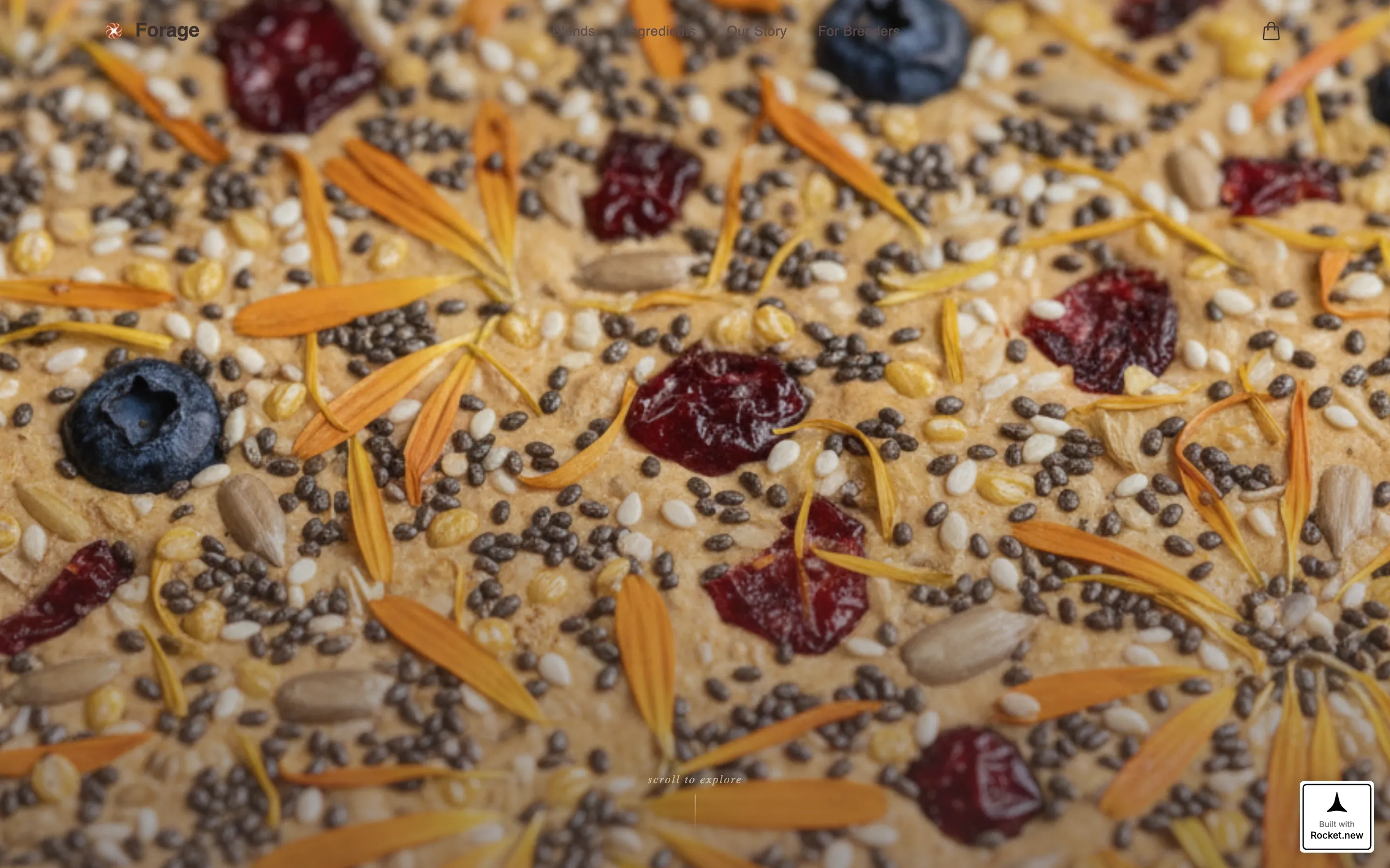 Artisan Bird Food Landing Page Template
