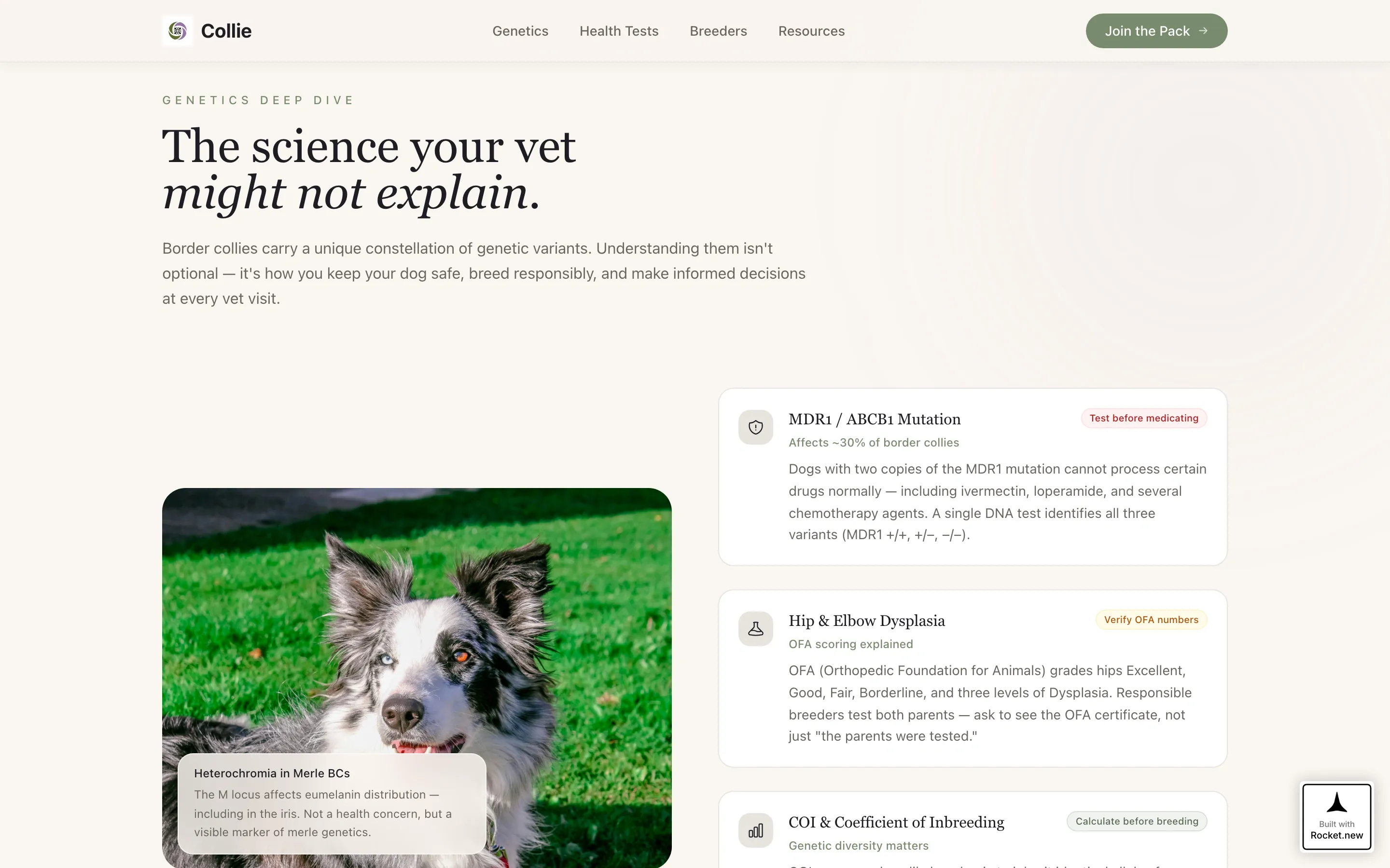Dog Advanced Education Website Template
