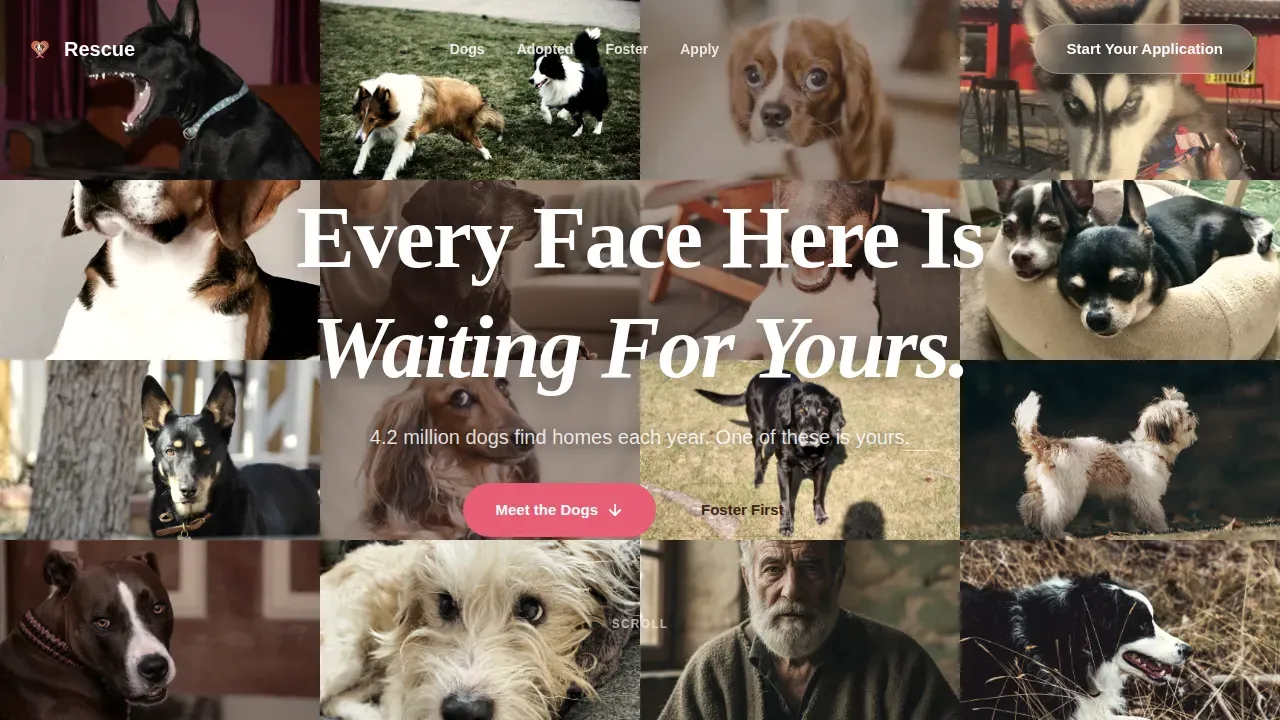 Family First Dog Adoption Landing Page Template