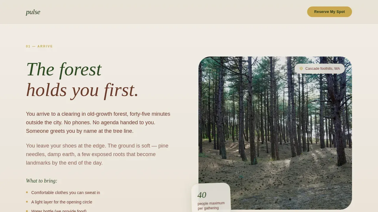 Wellness Modalities Reviews Website Template