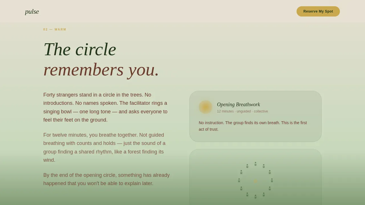 Wellness Modalities Reviews Website Template