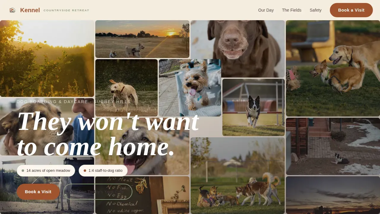 Dog Specialist Booking Website Template