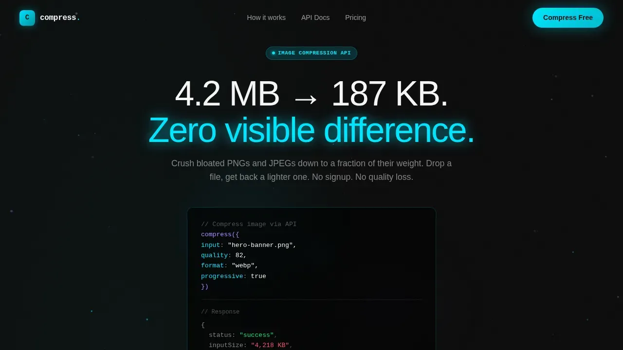 Micro-SaaS & Developer Tools Professional Website Template