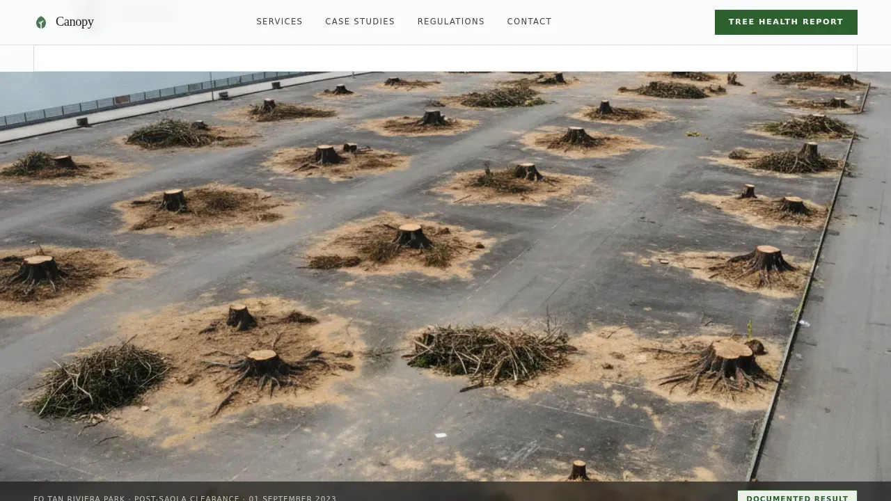 Expert Arborist Comparison | Free Website Template | Rocket