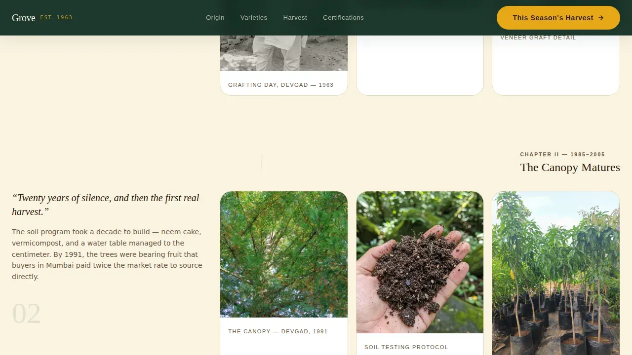 Mango Plantation Landing Page Template
