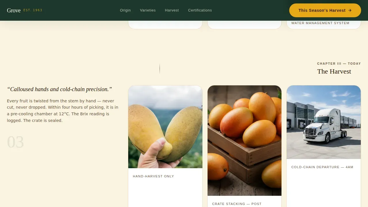 Mango Plantation Landing Page Template