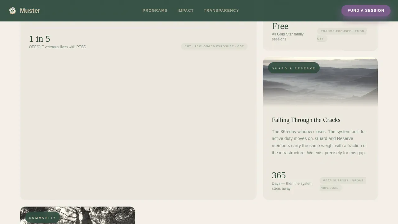 Veteran Mental Health Landing Page Template