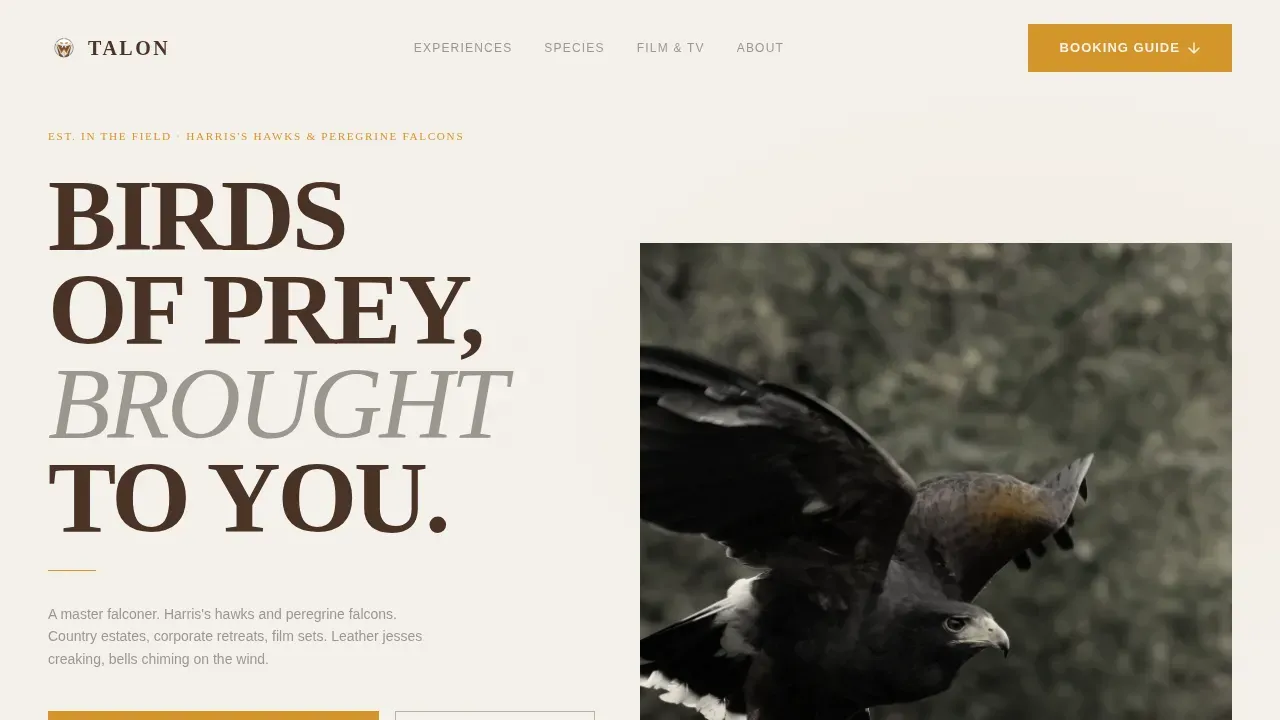 Falconer Booking Website Template