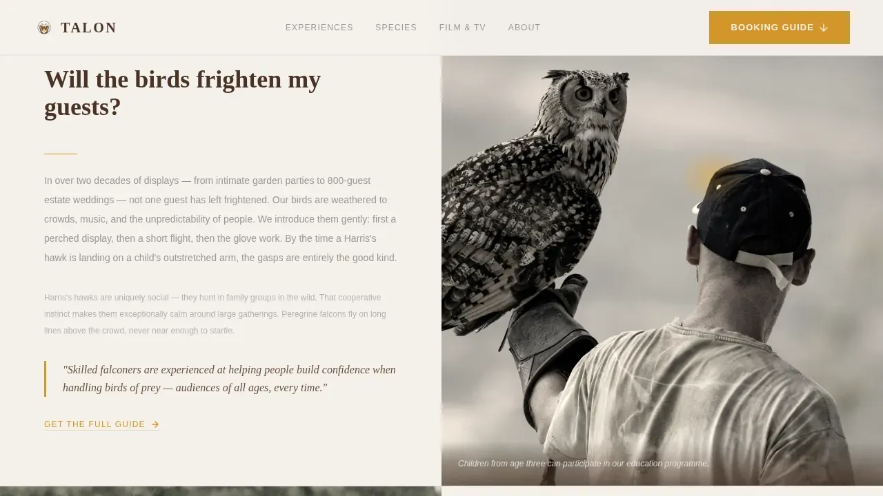 Falconer Booking Website Template