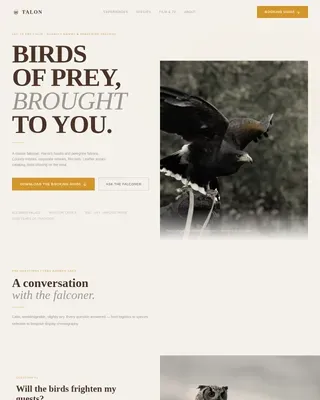 Falconer Booking Website Template