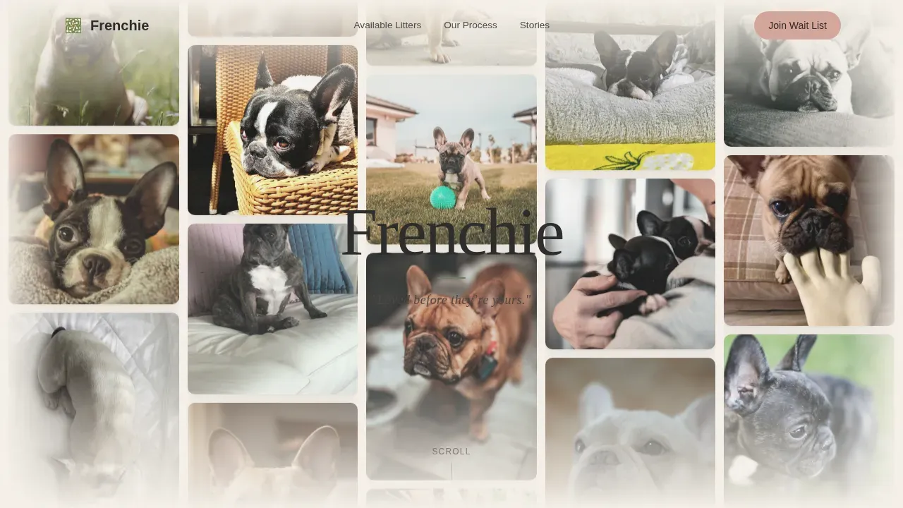 Premium French Bulldog Breeder Landing Page Template
