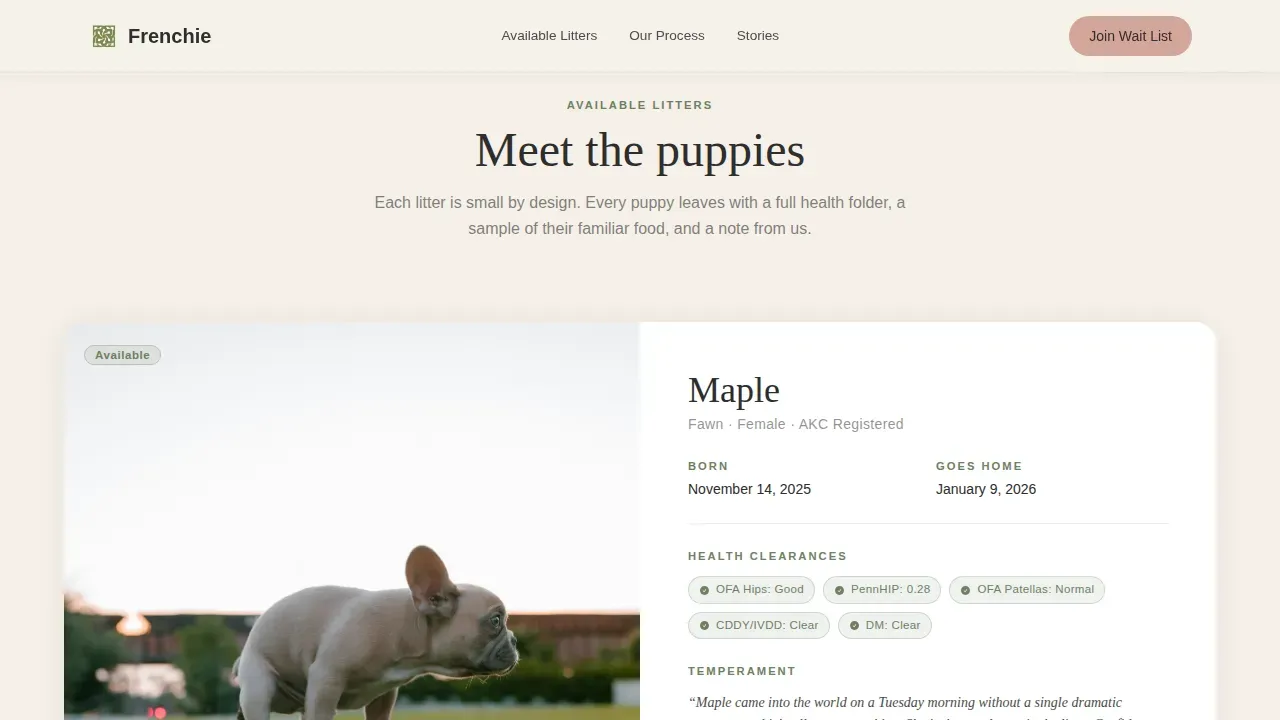 Premium French Bulldog Breeder Landing Page Template