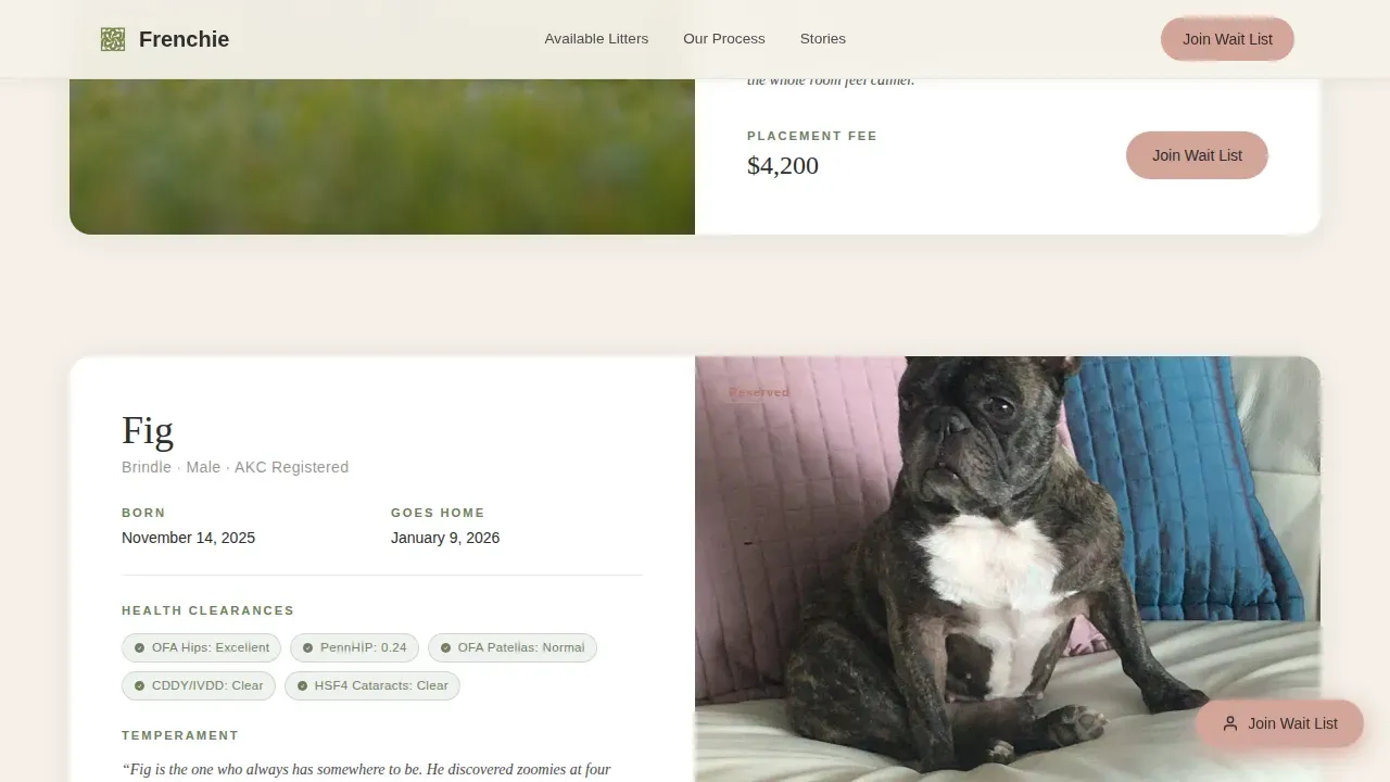 Premium French Bulldog Breeder Landing Page Template