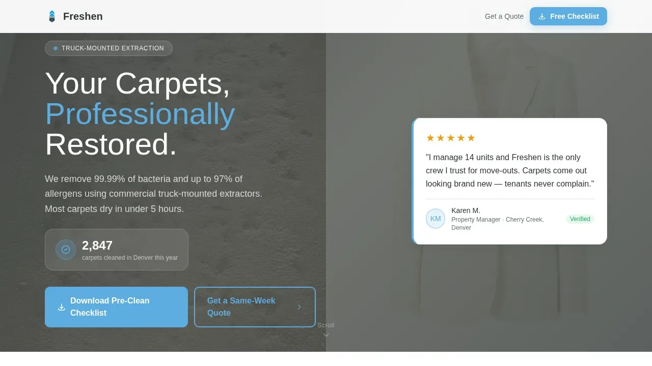 Elite Carpet Care Landing Page Template