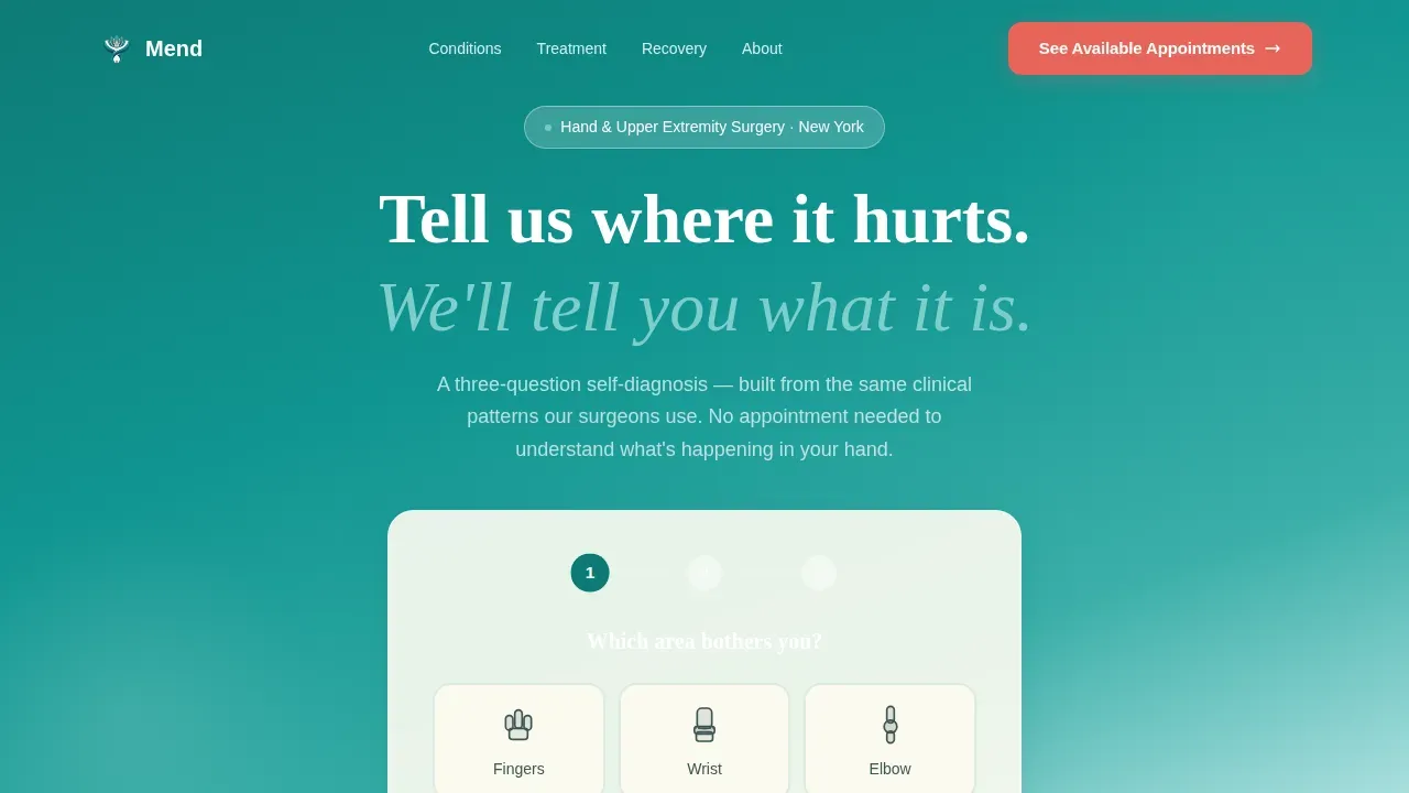 Precision Hand Surgery Landing Page Template