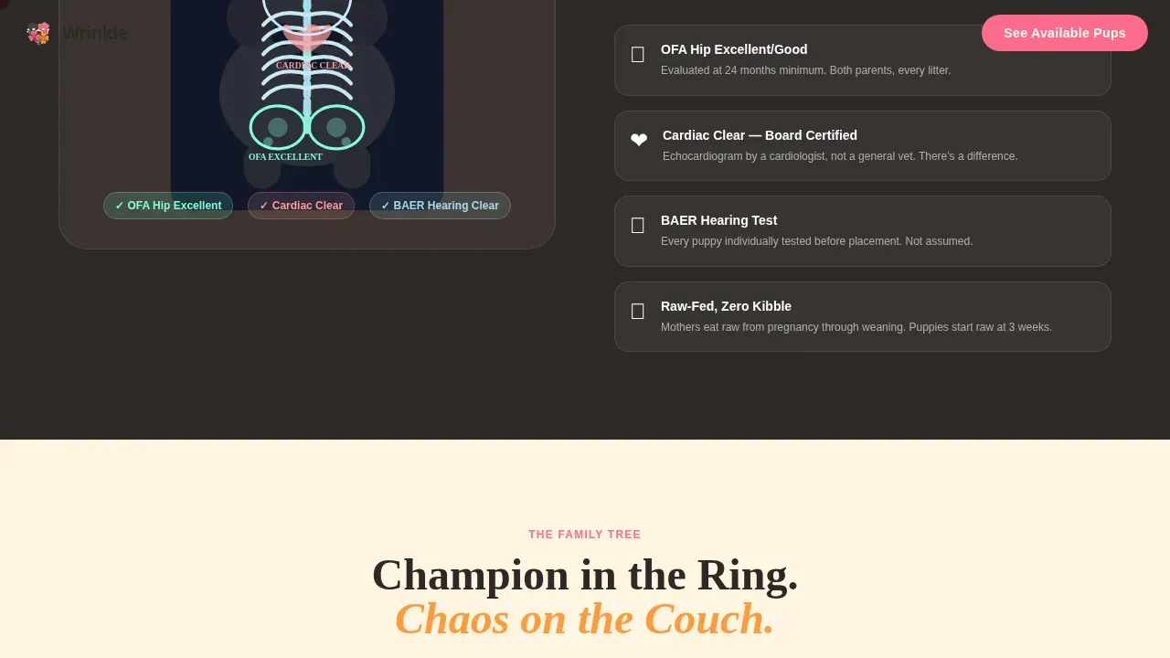 Dog Advanced Pre-Launch Website Template