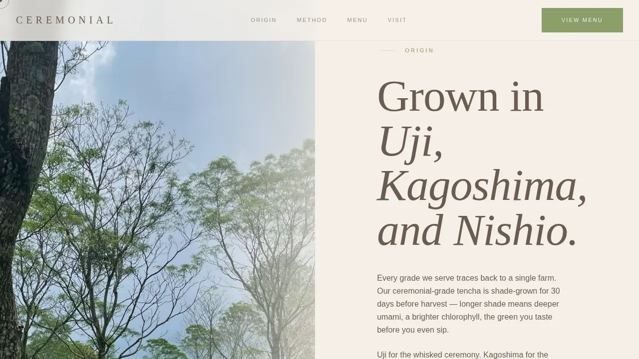 Luxe Minimal Matcha Café Landing Page Template