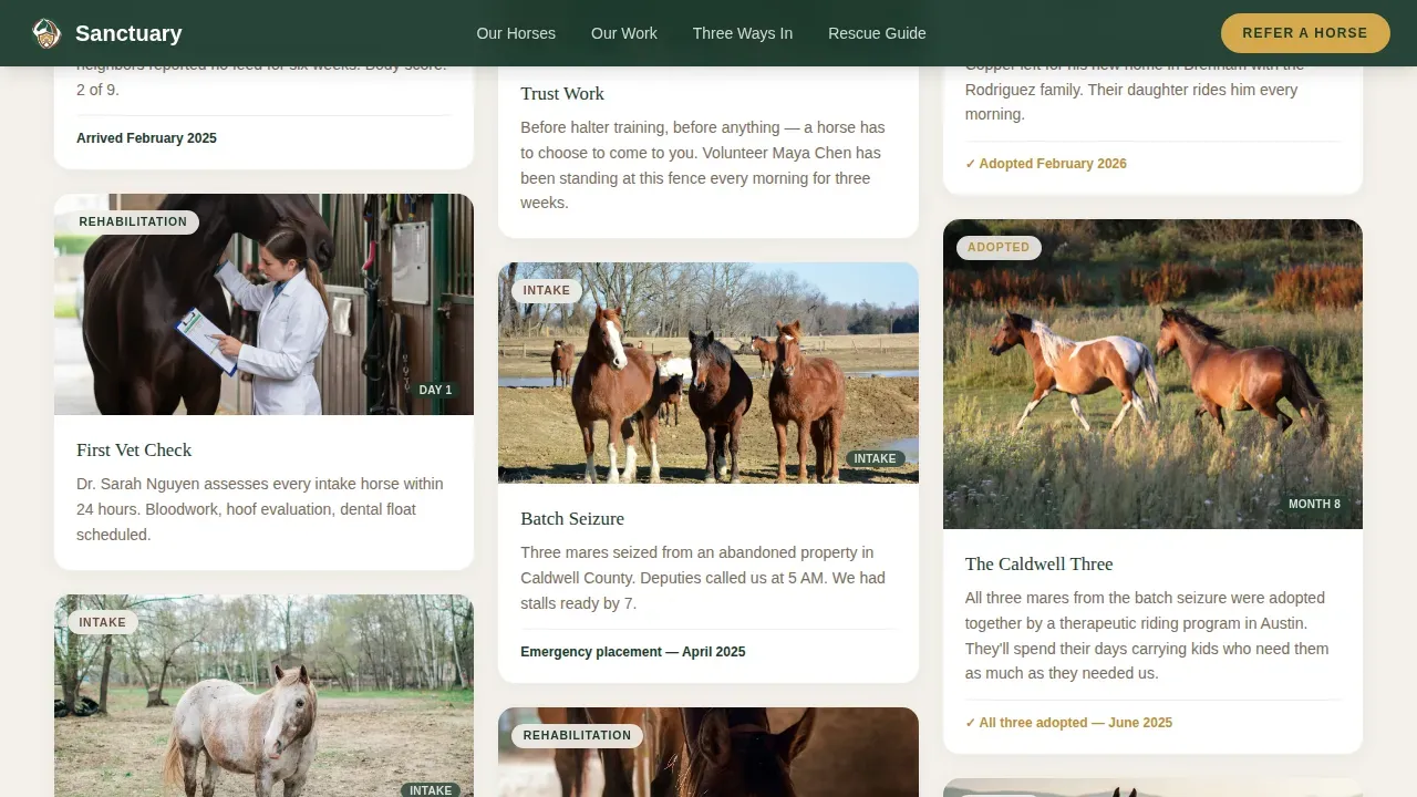 Compassionate Equine Care Landing Page Template