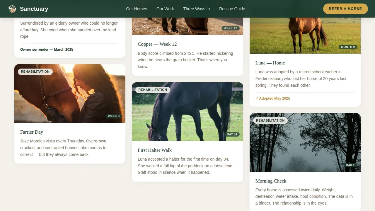 Compassionate Equine Care Landing Page Template