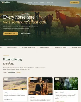 Compassionate Equine Care Landing Page Template