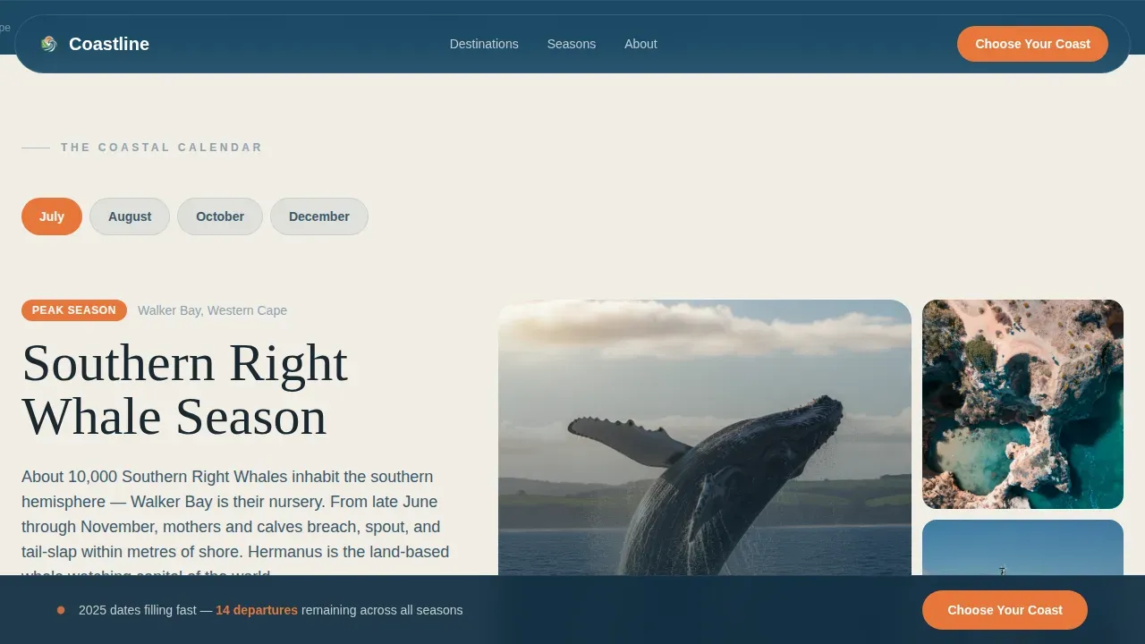 South Africa Travel Appointment Booking Website Template
