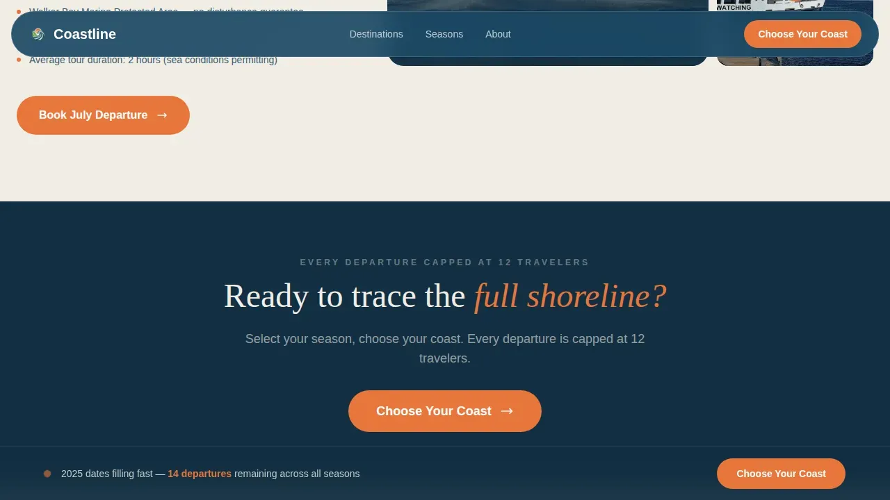 South Africa Travel Appointment Booking Website Template