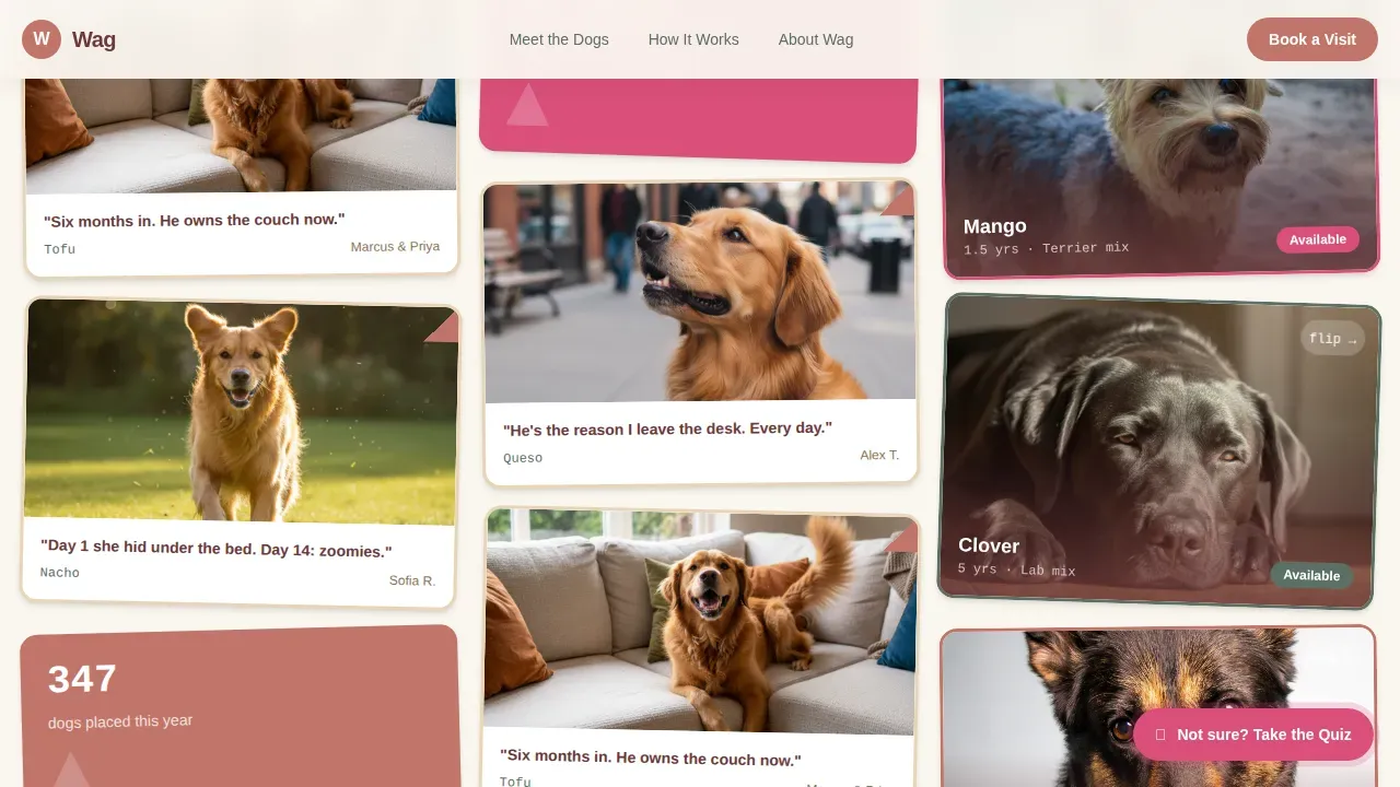 Dog Advanced Booking Website Template