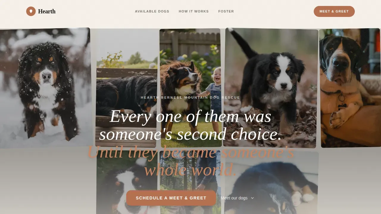 Dog Premium Booking Website Template