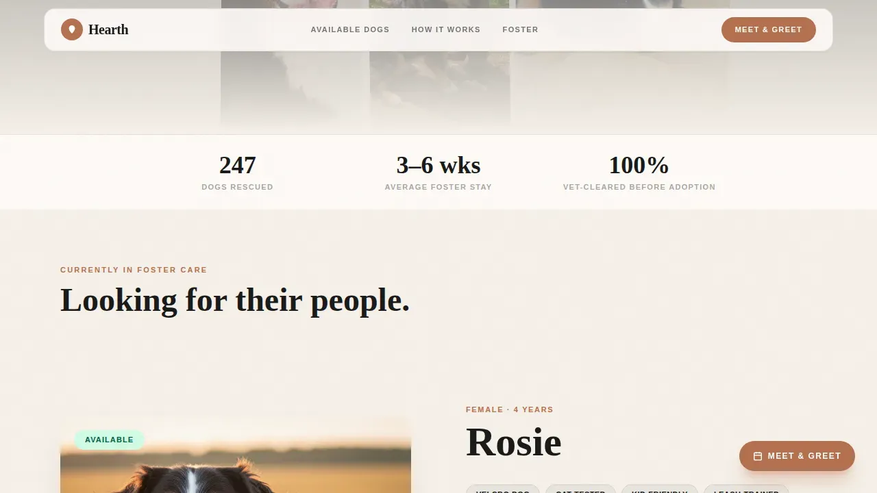 Dog Premium Booking Website Template