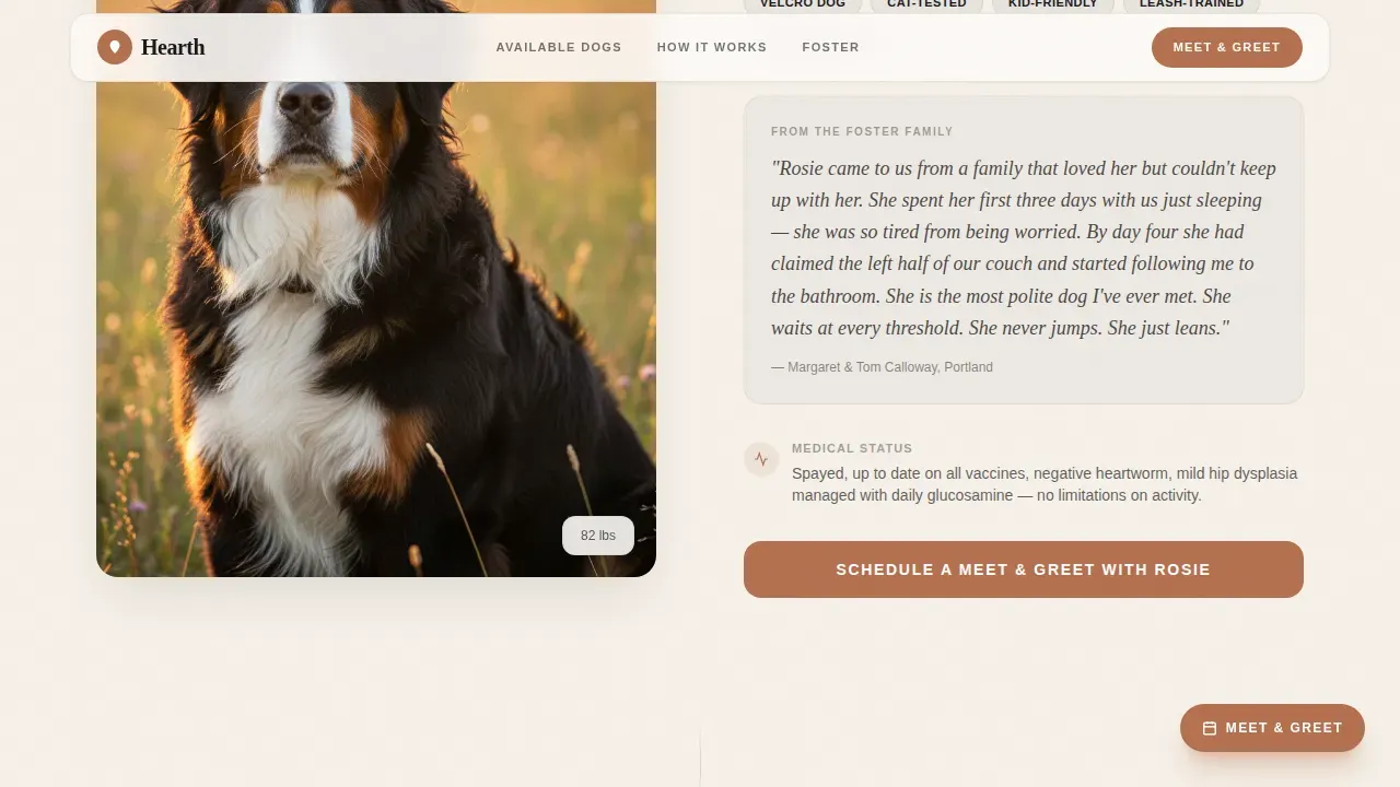Dog Premium Booking Website Template