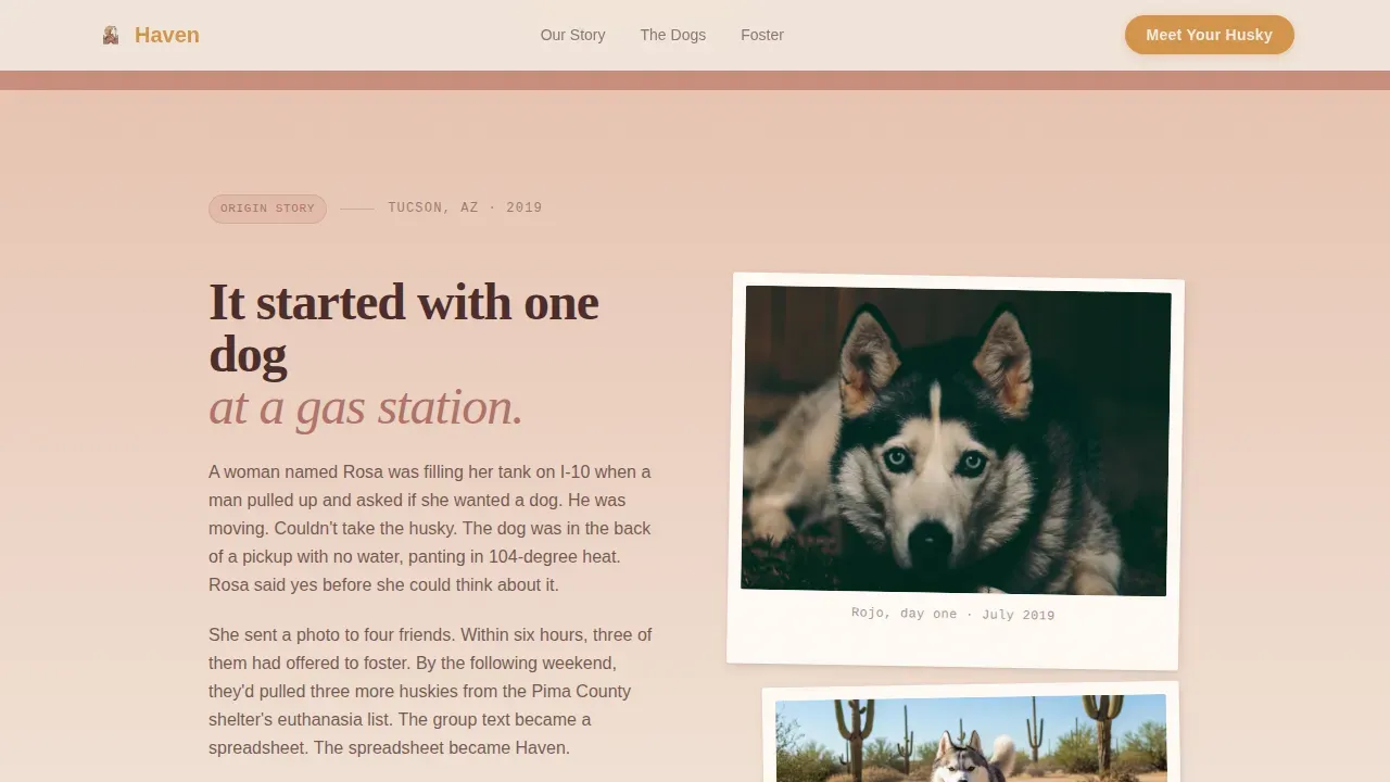 Heartfelt Husky Adoption Landing Page Template