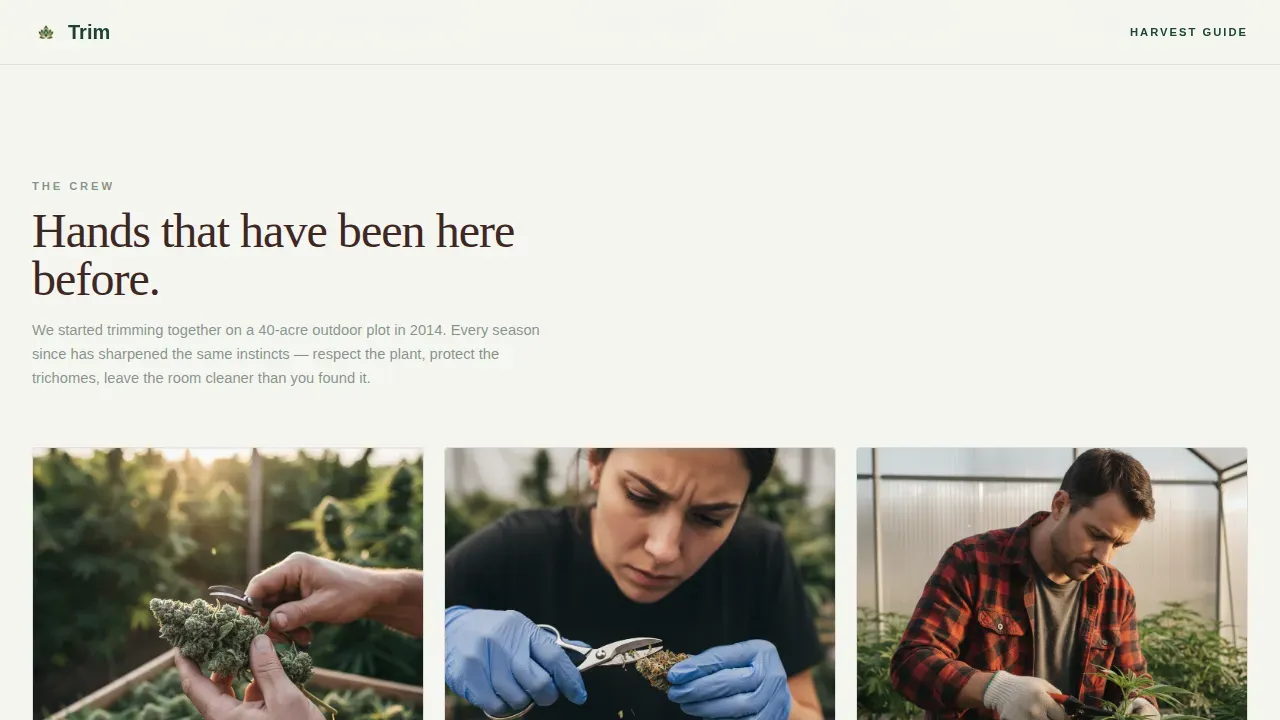 Certified Cannabis Industry Services Professional Website Template