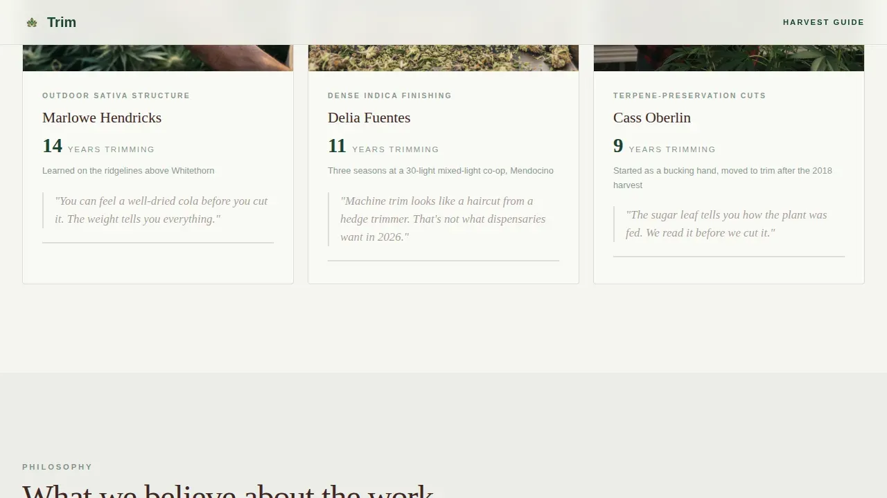 Certified Cannabis Industry Services Professional Website Template