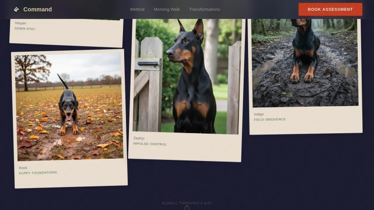Doberman Booking Website Template
