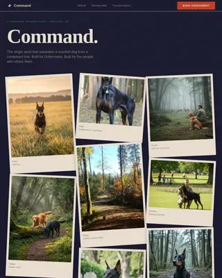 Doberman Booking Website Template