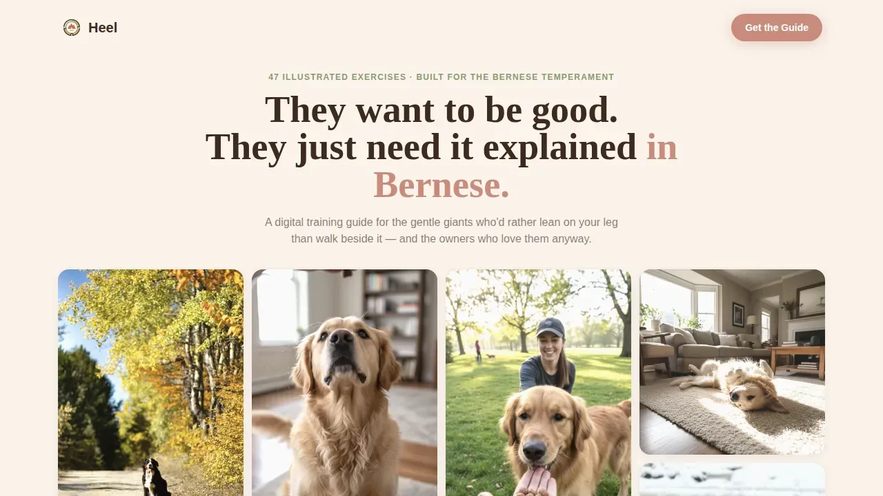 Dog Premium Professional Website Template