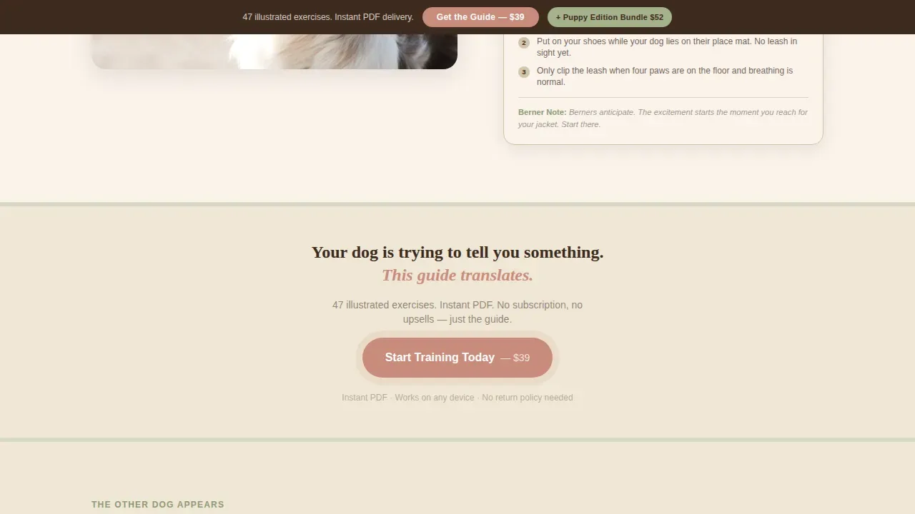 Dog Premium Professional Website Template