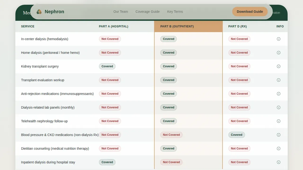 Nephrologist Comparison Website Template