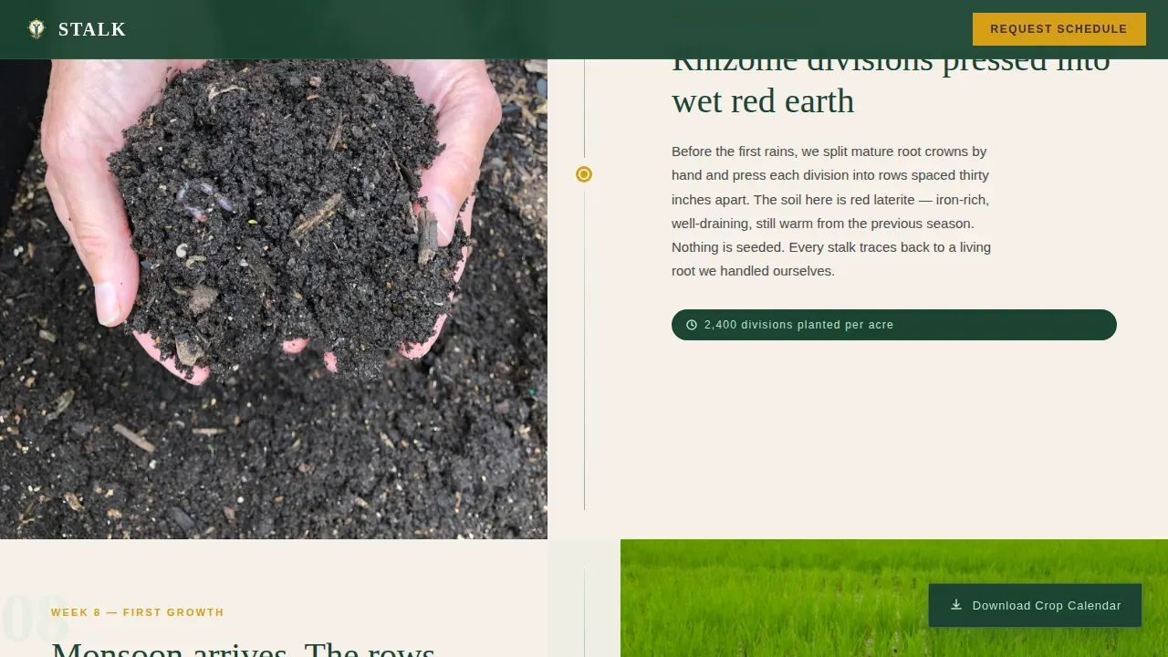 Fresh Harvest Lemongrass Farm Landing Page Template