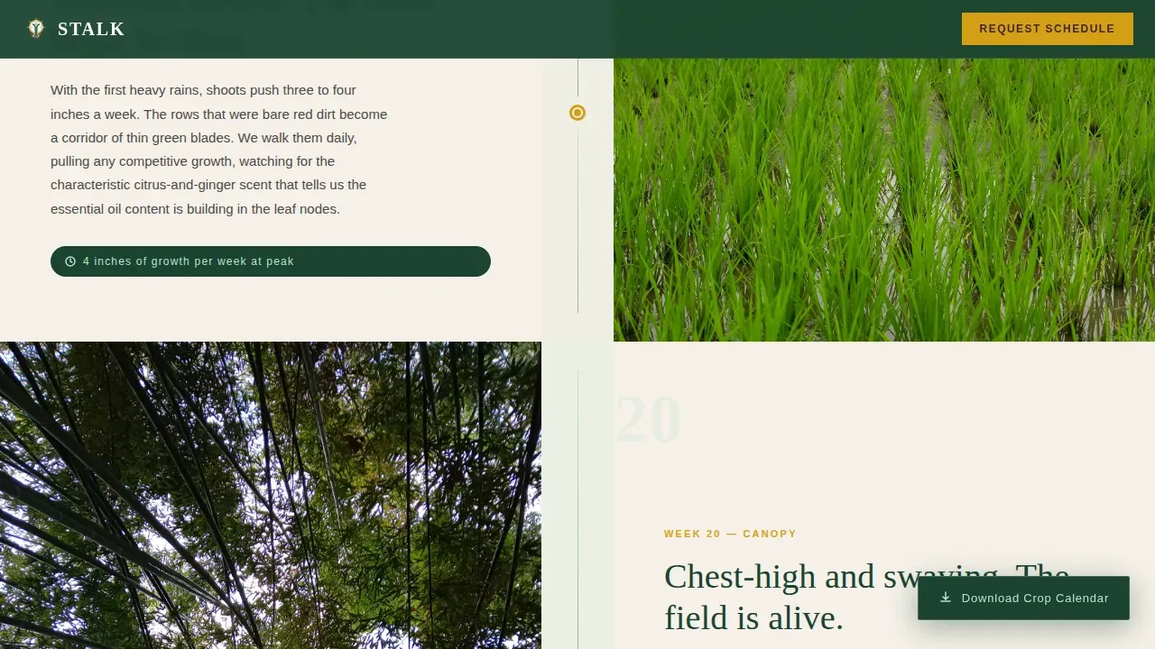 Fresh Harvest Lemongrass Farm Landing Page Template