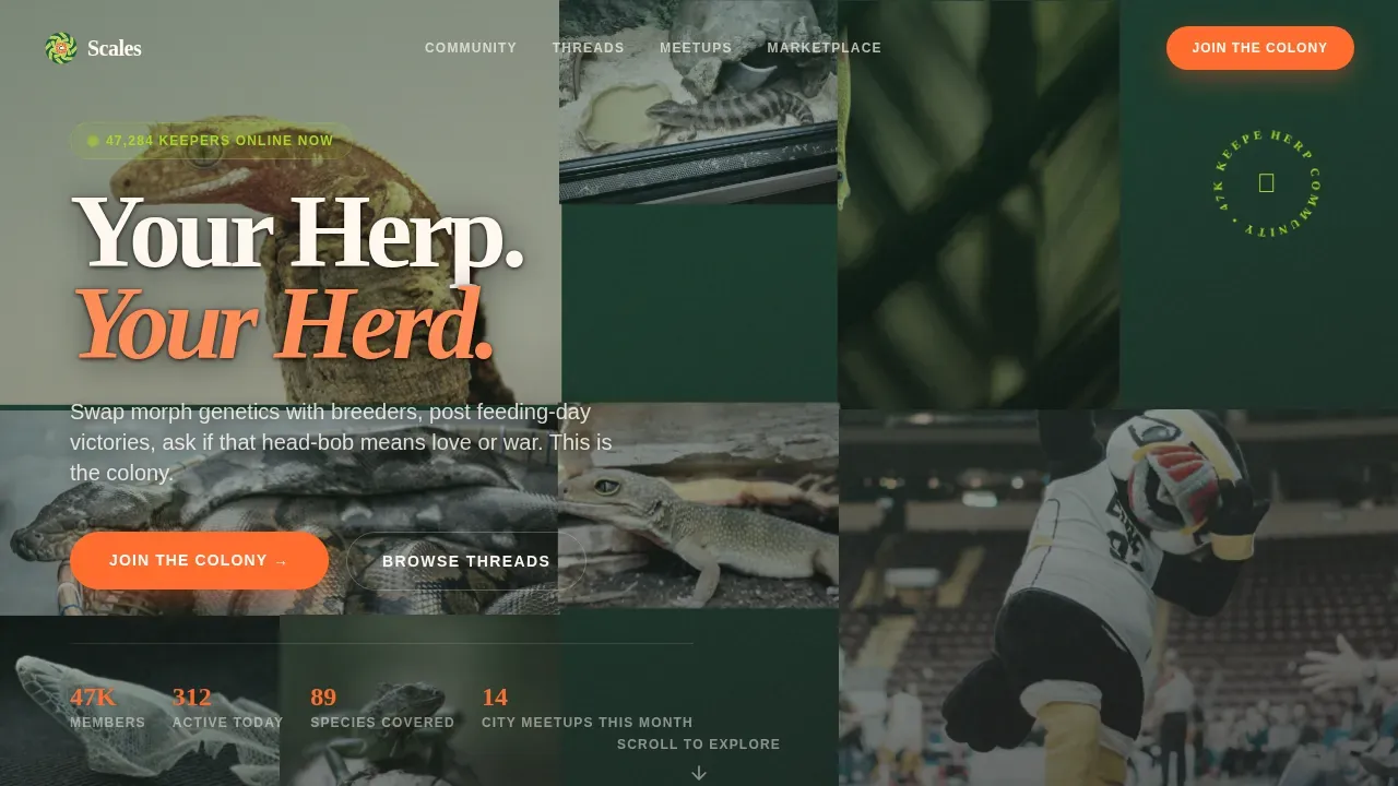 Organic Flow Reptile Community Landing Page Template