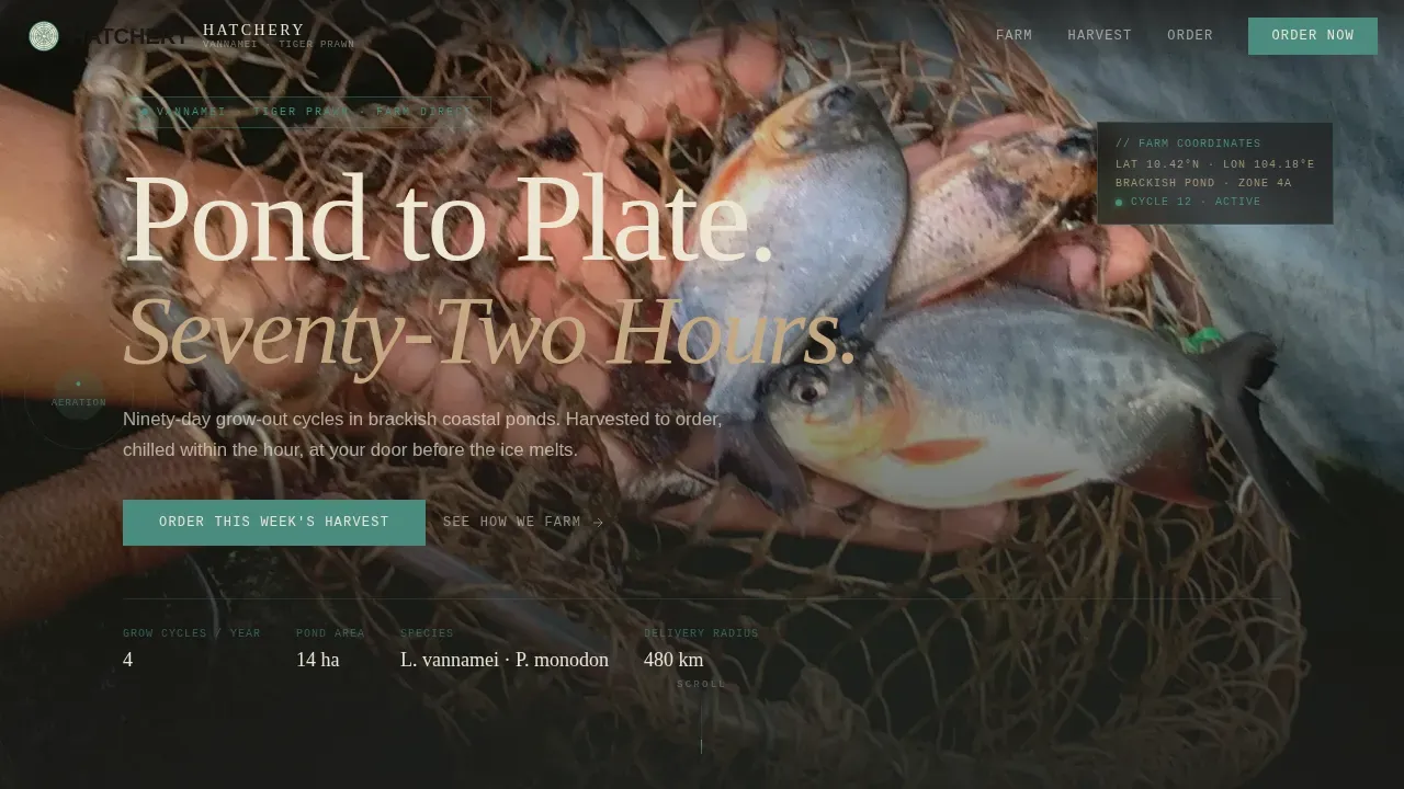 Shrimp Farm Direct-Sales Landing Page Template
