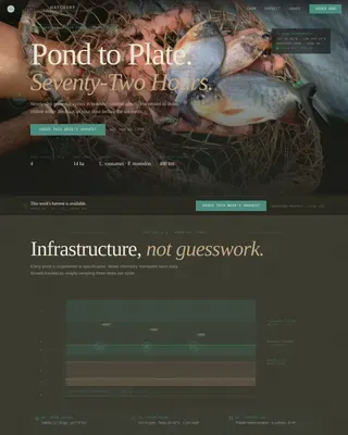 Shrimp Farm Direct-Sales Landing Page Template