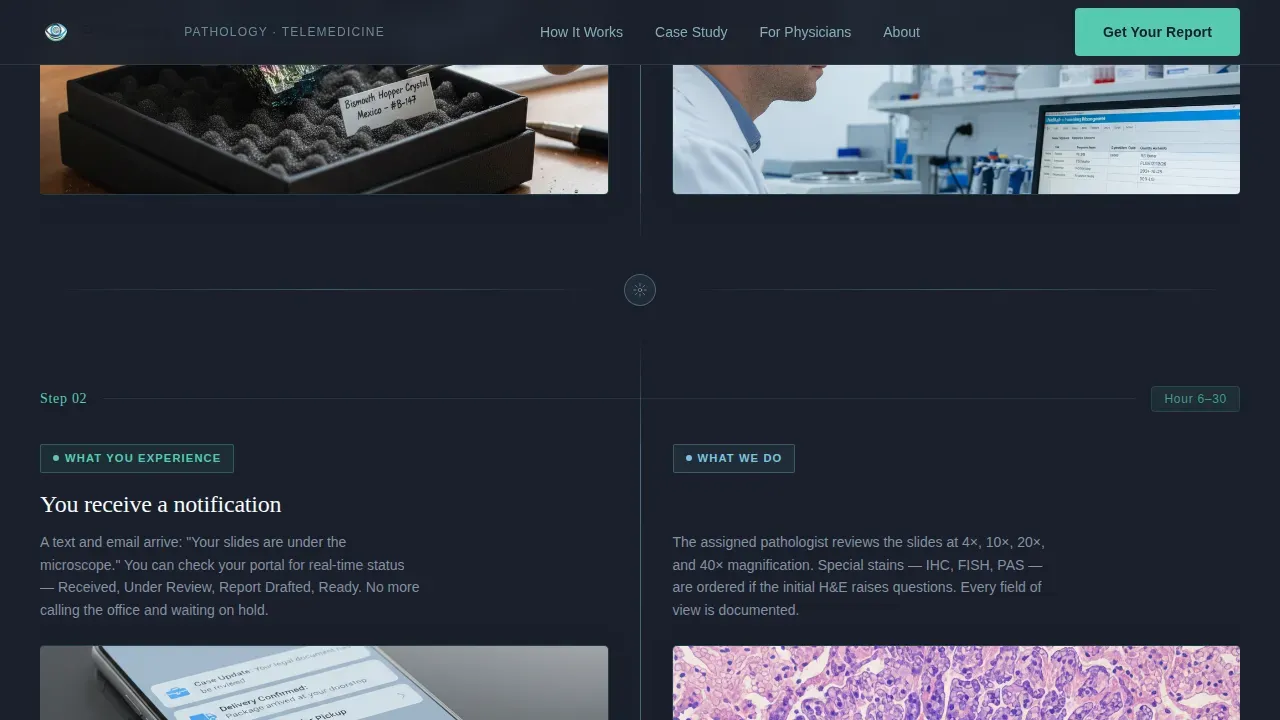Pathology Medicine Professional Website Template
