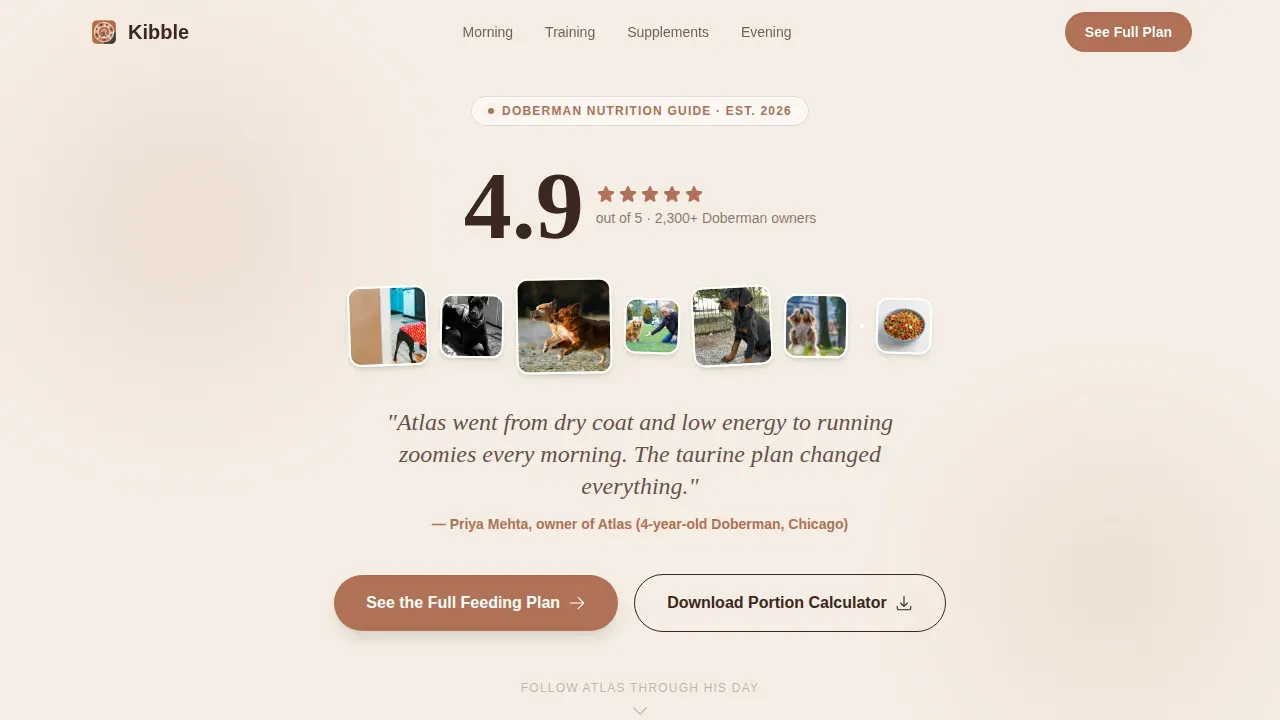 Doberman Reviews Website Template