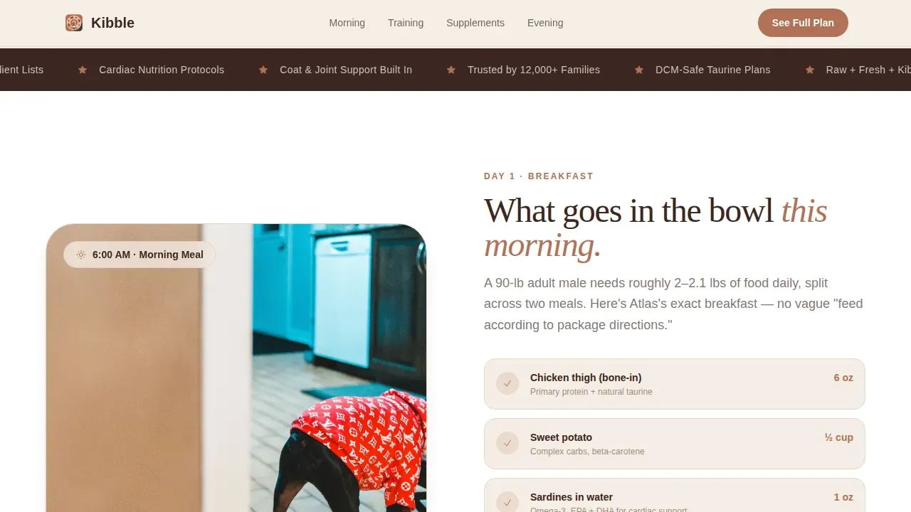 Doberman Reviews Website Template