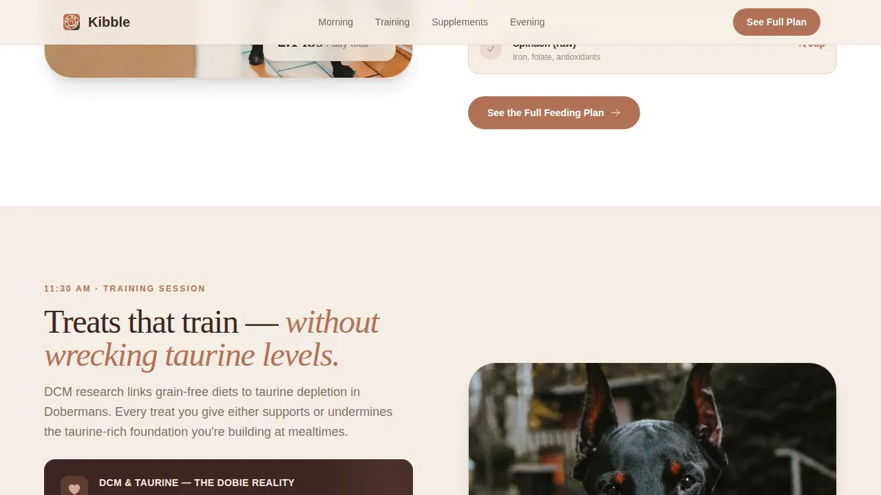 Doberman Reviews Website Template