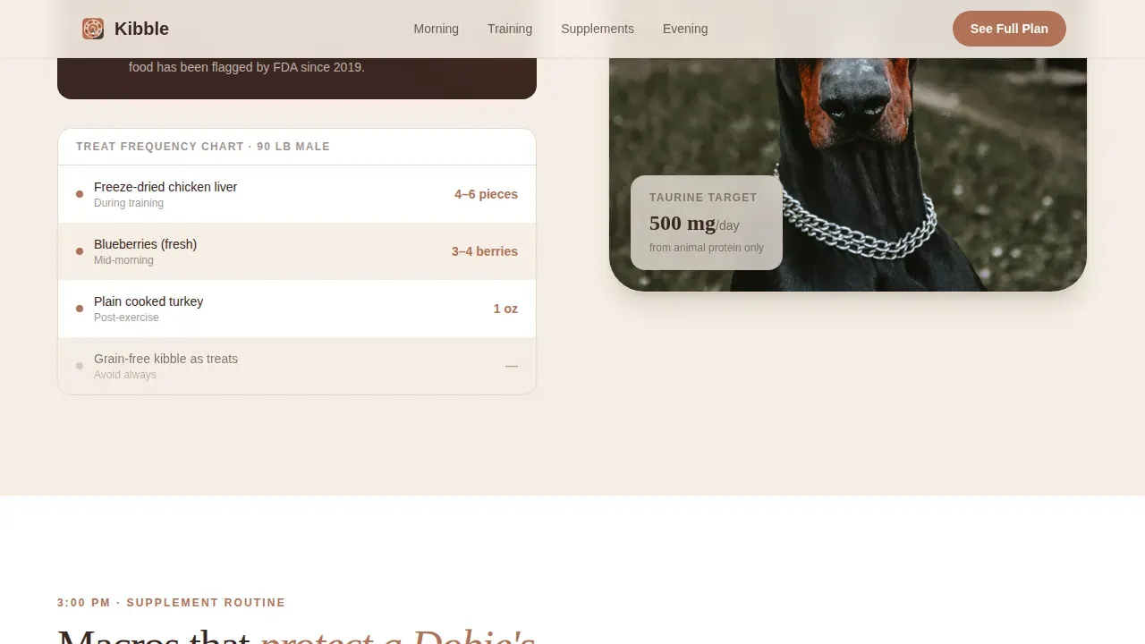 Doberman Reviews Website Template