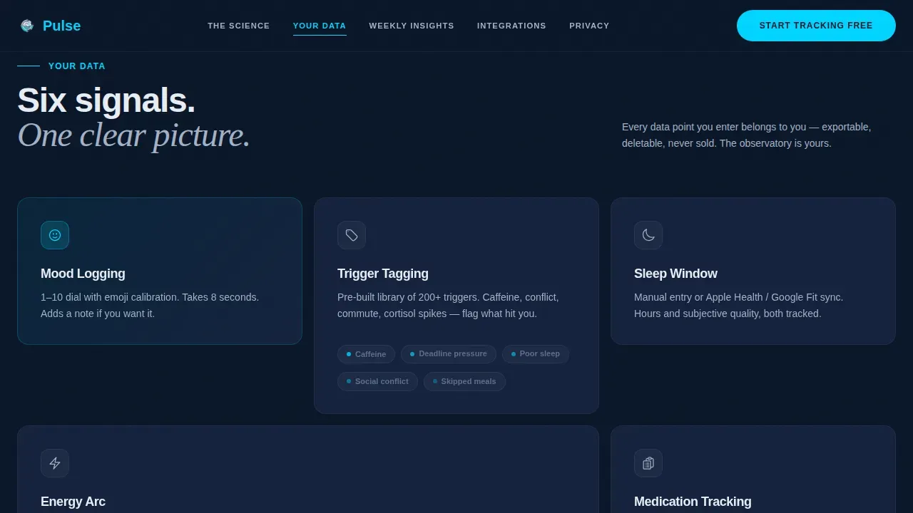 Consumer App & Platform Professional Website Template